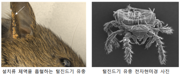 사진 = 질병관리청 제공