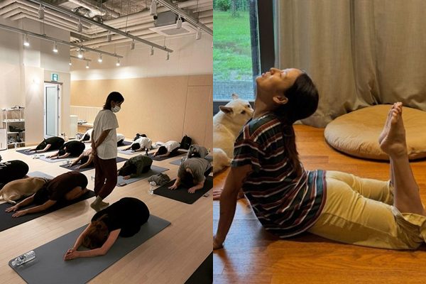 사진=정재형, 이효리 인스타그램