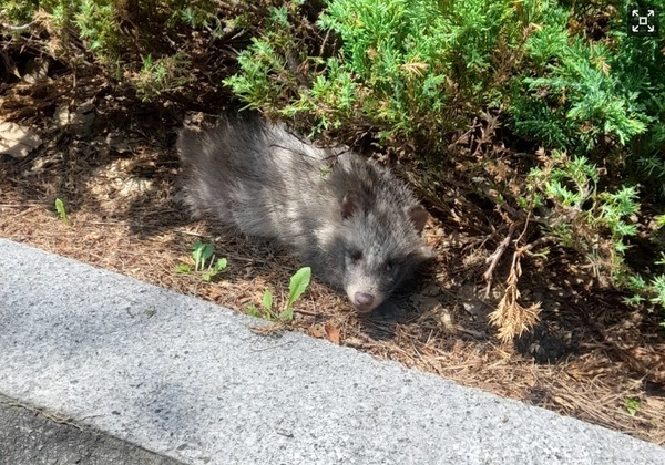 사진=인천시설공단 제공