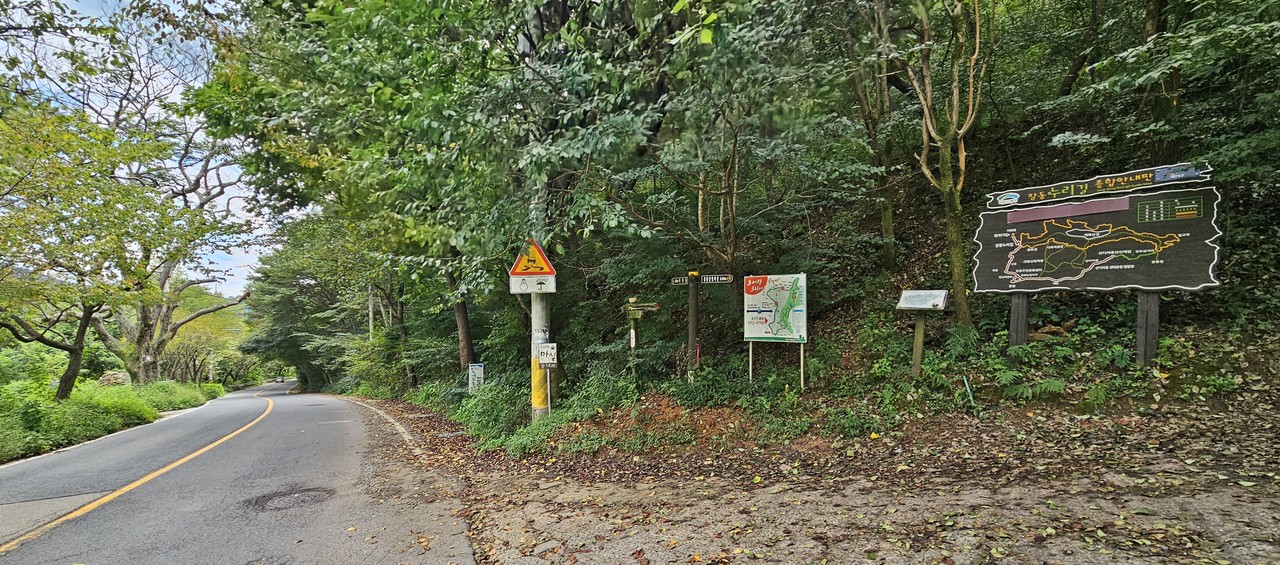 오른쪽 계족산 올라가는 길. 건너편 왼쪽에 이현동 보호수. 260년 넘은.