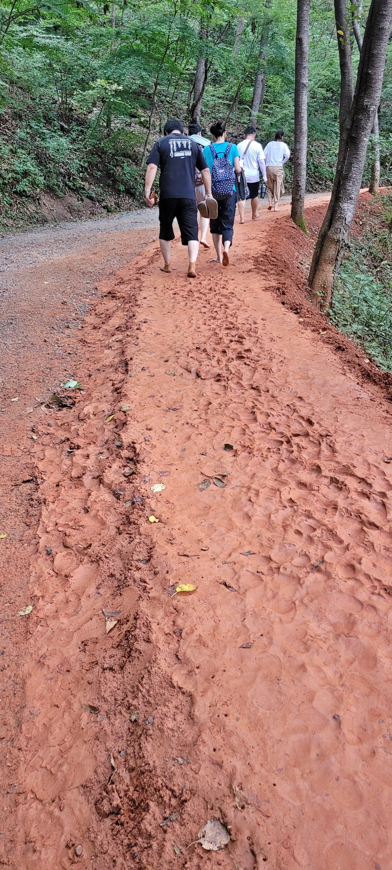 펀펀하다. 대전 사람들을 부러워하는 타지에서 오신 분들.
