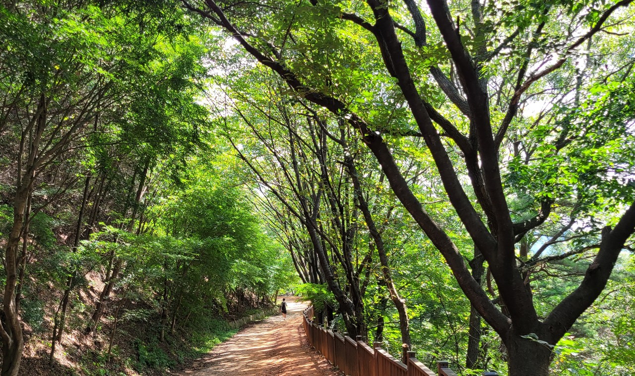 계족산성 서문터 올라가는 계단 앞. 