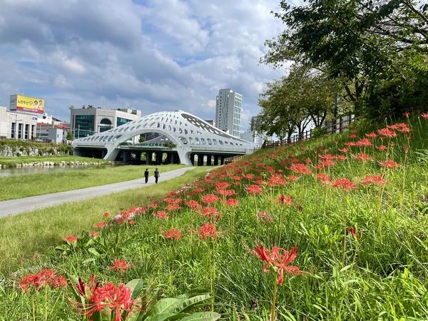 ▲ 대전시 제공