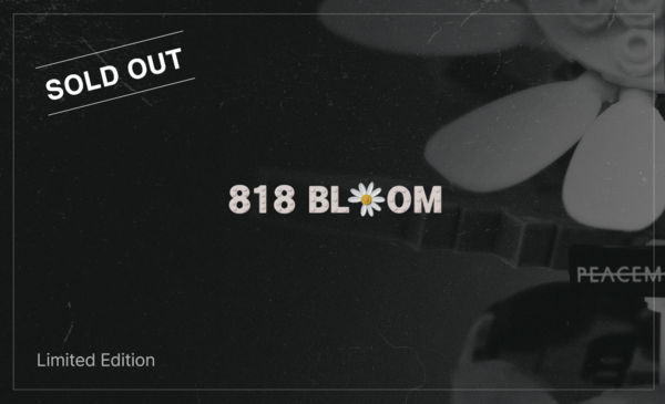 사진=엠트리아이앤씨