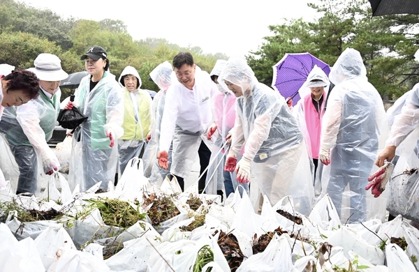 비가 내리는 가운데 김제선 중구청장(가운데)과 자생 단체 회원들이 25일 침산동 일원에서 ‘대한민국 새단장’ 대청소 캠페인에 참여해 쓰레기를 수거하고 있다. 중구 제공