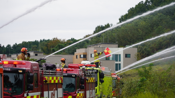 ▲ 세종시 제공