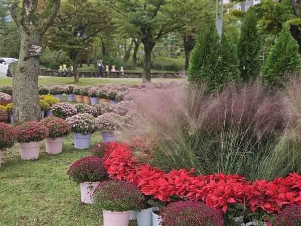 서대전광장 꽃정원 모습. 중구 제공