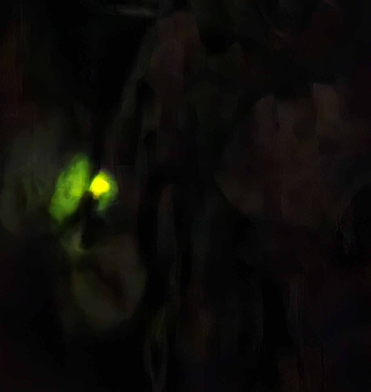 이게 최선이었다.