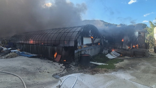 충남 공주 이인면 돈사 화재. 공주소방서 제공