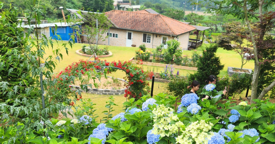 세종시 아름다운 정원 경연대회에서 개인부문 대상을 차지한 장군면 '꽃마당' 모습. 세종시 제공
