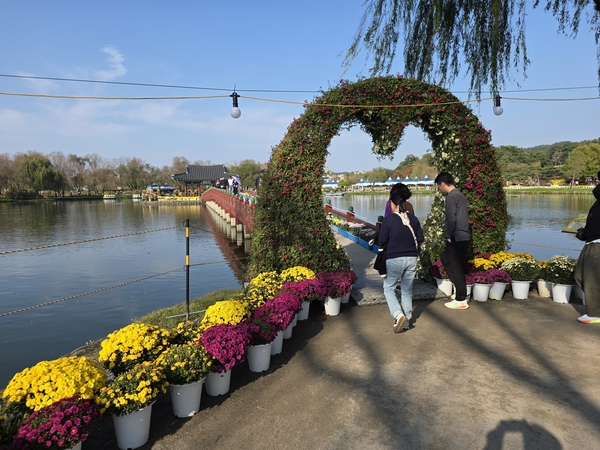 백제고도부여국화축제 모습. 부여군 제공