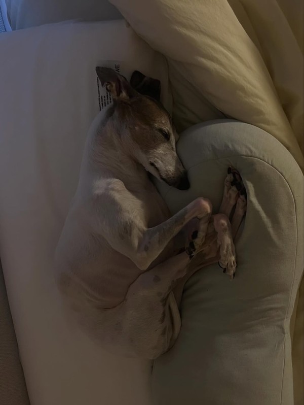 사진= 조권 인스타그램