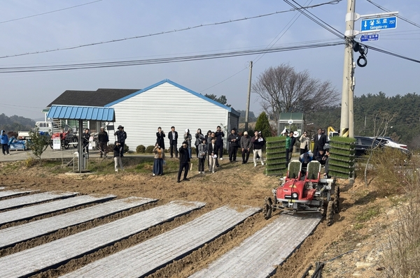 태안군이 지난 7일 태안읍 도내리에서 진행한 양파 정식 시연회 모습. 태안군 제공