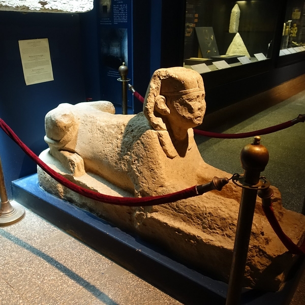 조세르 왕의 스핑크스