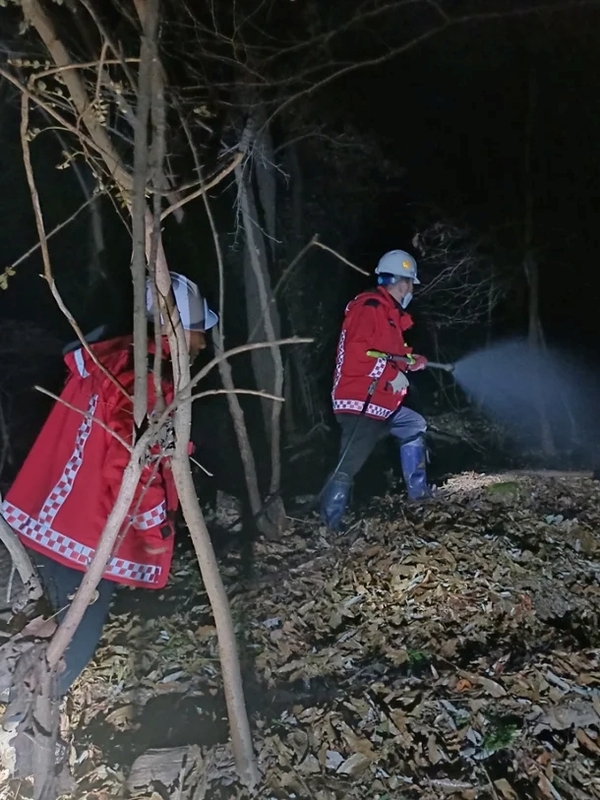 천안 동남구 유량동 야산 산불. 산림청 제공