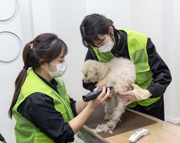 반려동물 미용봉사단 리루 단원들이 반려동물 미용 봉사를 하고 있다. 대덕구 제공