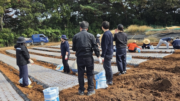 서산시 주택과직원들, 농촌일손돕기 봉사활동 구슬땀 - 뉴스 썸네일 이미지