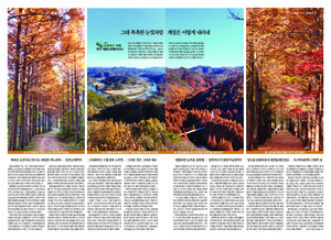 10면 미리보기 이미지